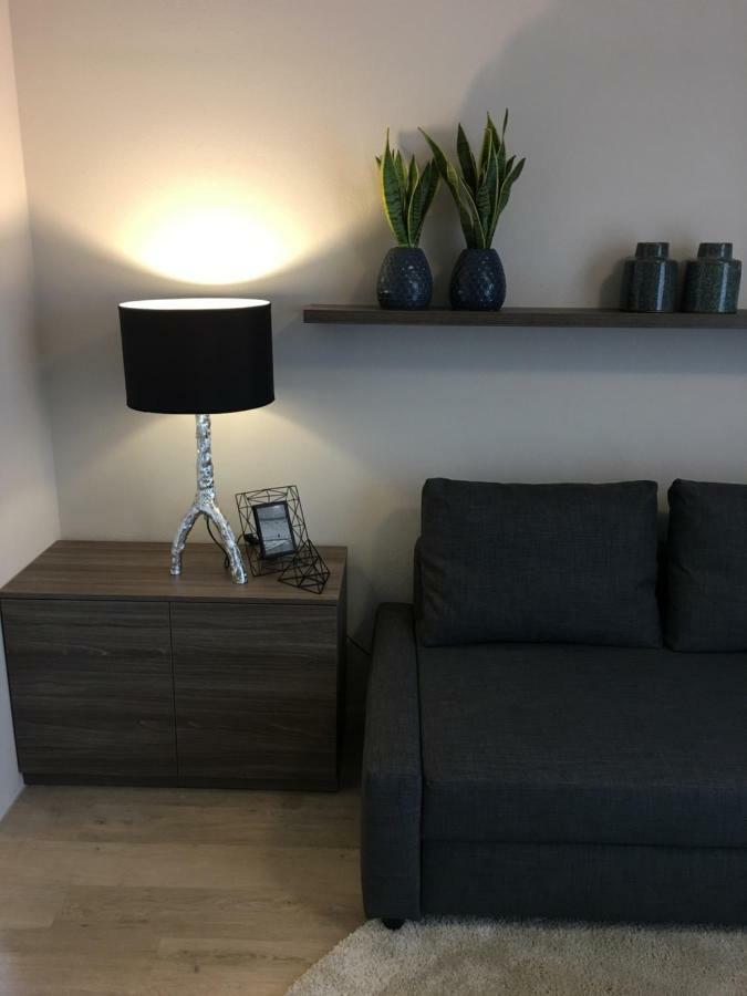 Modry Apartman Dolní Morava エクステリア 写真