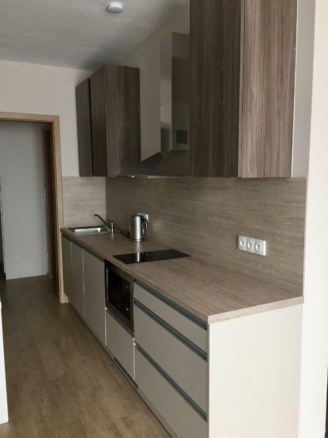 Modry Apartman Dolní Morava エクステリア 写真