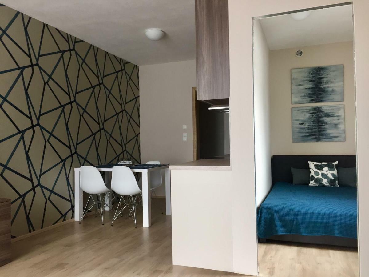Modry Apartman Dolní Morava エクステリア 写真