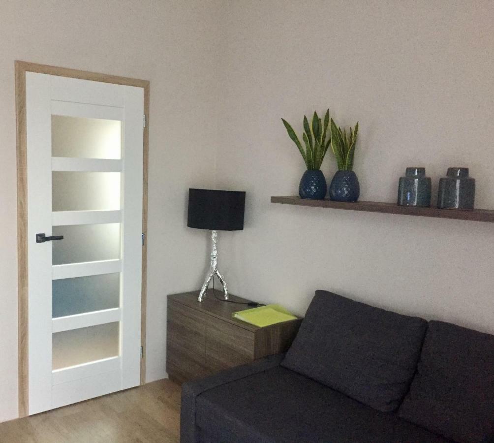 Modry Apartman Dolní Morava エクステリア 写真